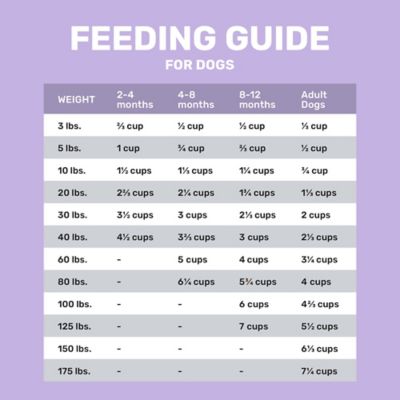 Image showing 5 th 4health with Wholesome Grains Large Breed Puppy Chicken Formula Dry Dog Food