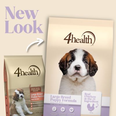 Image showing  Large Breed Puppy Chicken Formula Dry Dog Food