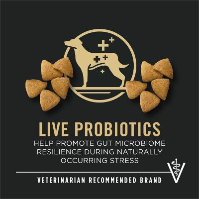 Image showing  Sport All Life Stages 27/17 Active Chicken and Rice Formula Dry Dog Food