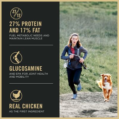 Image showing  Sport All Life Stages 27/17 Active Chicken and Rice Formula Dry Dog Food