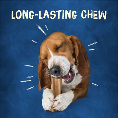 Image showing  Bone Adult Dog Chew Bone Treats, Original, 10 ct. Pouch