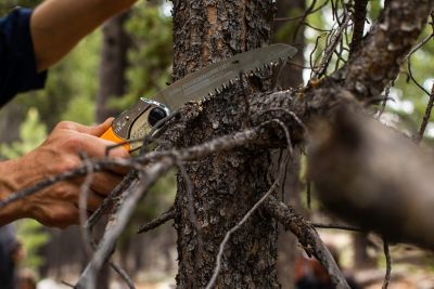 Image showing  5.1 in. Pocketboy Curve Professional Folding Saw, Large Teeth