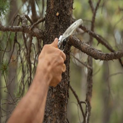 Image showing  5.1 in. Pocketboy Curve Professional Folding Saw, Large Teeth