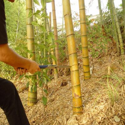 Image showing  14.2 in. Bigboy Folding Saw, Fine Teeth