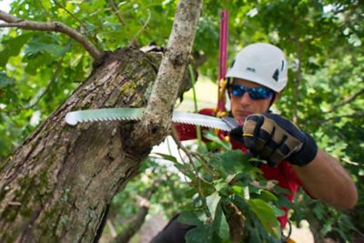 Image showing  10.6 in. Blade Only for Zubat Professional Pruning Saw, Large Teeth