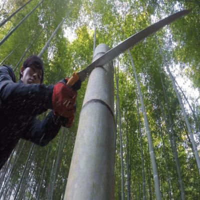 Image showing  11.8 in. Tsurugi Professional Straight Saw, Medium Teeth