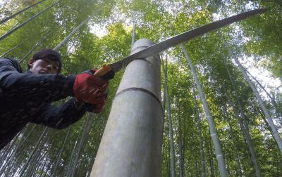 Image showing  10.6 in. Blade Only for Tsurugi Curve Professional Saw, Medium Teeth