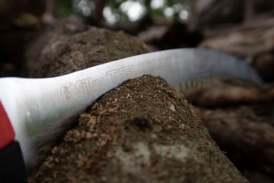 Image showing  10.6 in. Blade Only for Tsurugi Curve Professional Saw, Large Teeth