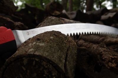 Image showing  13 in. Blade Only for Tsurugi Curve Professional Saw, Large Teeth