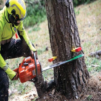 Image showing  10 in. Felling Wedge, Red/Yellow