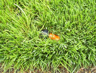 Image showing  60 sq. ft. Quick-Snap Buried End Spray