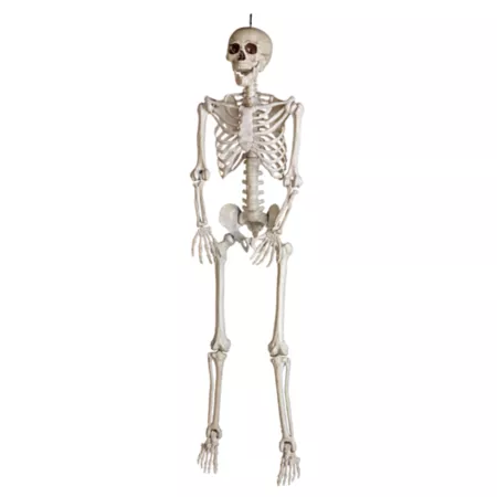 Red Shed 5 Foot Bone Skeleton with Open Mouth Inflatable Halloween Decoration Halloween Statues