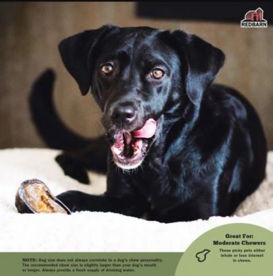 Image showing  Beef Filled Hooves Dog Chew Treat