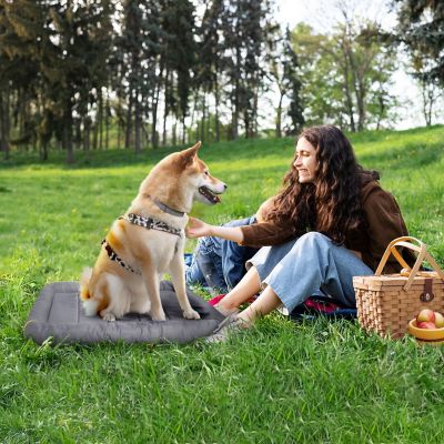 Image showing 5 th Precious Tails Xtra Tuff Chew and Water-Resistant Dog Crate Mat