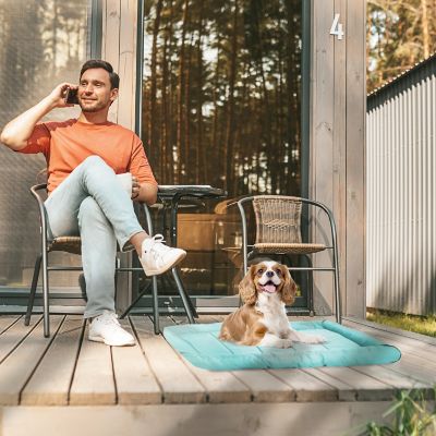Image showing  Xtra Tuff Chew- and Water-Resistant Dog Crate Mat