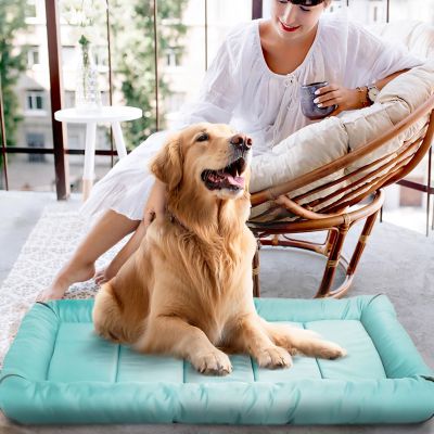 Image showing  Xtra Tuff Chew- and Water-Resistant Dog Crate Mat