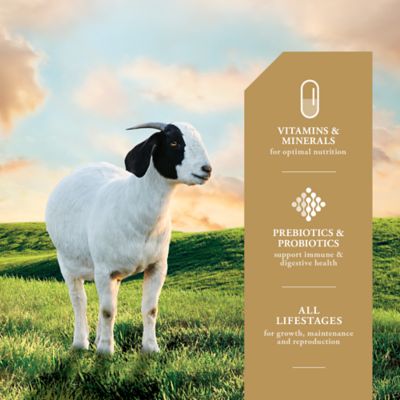 Image showing  Goat Mineral Feed Supplement