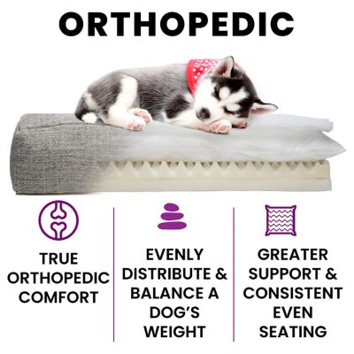 Image showing  Orthopedic Dog Bed