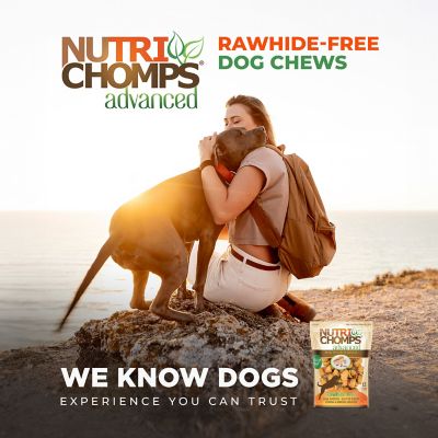 Image showing 5 th NutriChomps Advanced 2.5 in. Chicken Flavor Mini Knots with Real Chicken, 12 ct.