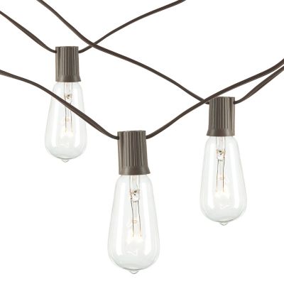 Everlasting Glow 20 ft. 20 Light Outdoor Electric Light Strings, ST38 Bulbs, 2 pk.
