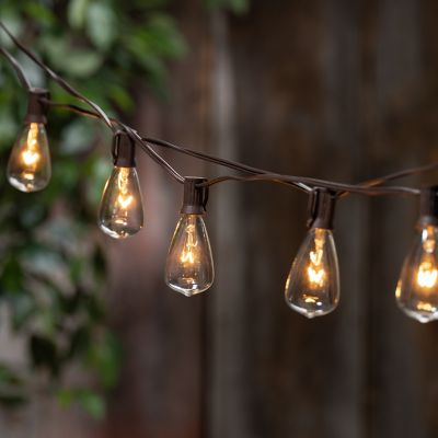 Image showing  20 ft. 20 Light Outdoor Electric Light Strings, ST38 Bulbs, 2 pk.