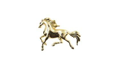 Buddy G's Wild Stallion Brooch Pin Accessory