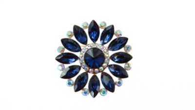 Buddy G's Garden Party Rhinestone Brooch Pin