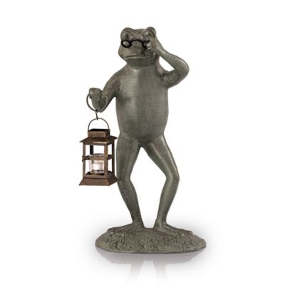 Image showing  Professor Frog Garden Lantern