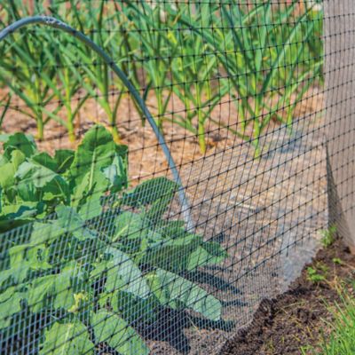 Image showing  10 ft. x 4 ft. 1/2 in. Mesh Hardware Cloth