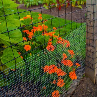 Image showing  10 ft. x 4 ft. 1/2 in. Mesh Hardware Cloth