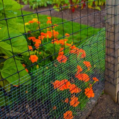 Image showing 5 th YARDGARD 50 x 4ft. Hardware Cloth with 1/4 in. Mesh