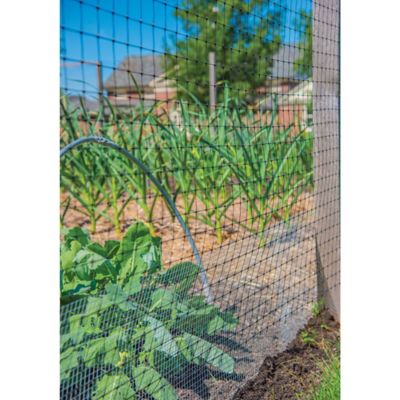 Image showing 6 th YARDGARD 100 x 3ft. Hardware Cloth with 1/4 in. Mesh