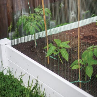 Image showing  50 ft. x 2 ft. Hardware Cloth with Green PVC 1/2 in. Mesh