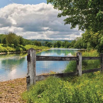 Image showing  50 ft. x 2 ft. Welded Wire Economy Fence with 2 in. x 3 in. Mesh