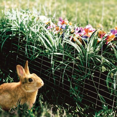 Image showing  25 ft. x 28 in. Welded Wire Garden Fence with Graduated Spacing and 2 in. Mesh
