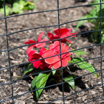 Image showing  50 ft. x 2.3 ft. Black PVC-Coated Garden Fence