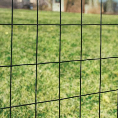 Image showing  50 ft. x 3 ft. Welded Wire Fence with Black PVC 3 in. x 2 in. Mesh
