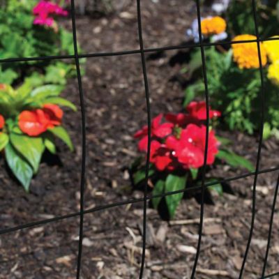 Image showing  50 ft. x 4 ft. Welded Wire Fence with Black PVC 3 in. x 2 in. Mesh