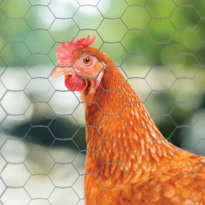 Yard Gard 308419B 18" x 150' ft 1" Galvanized Poultry Netting Chicken Wire Fence 