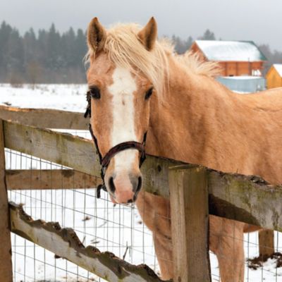 Image showing  25 ft. x 2 ft. Welded Wire with 1 in. x 1/2 in. Mesh