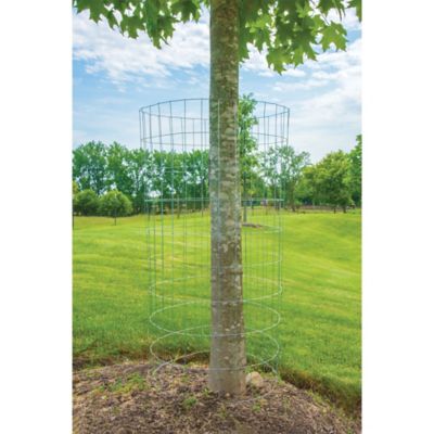 Image showing  100 ft. x 3 ft. Welded Wire with 1 in. x 1 in. Mesh, 16 Gauge