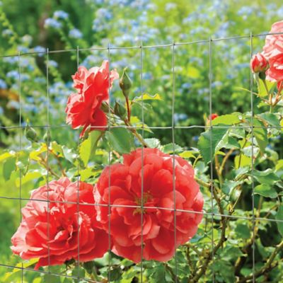 Image showing  100 ft. x 4 ft. Welded Wire Fence with 1 in. x 1 in. Mesh