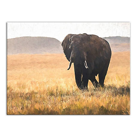 African Savannah Wild Elephants Three Panel Iron Fireplace Screen for sale online