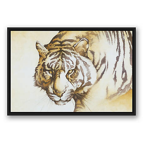 The Tiger and the Teeth High quality Photo print canvas choose your size 