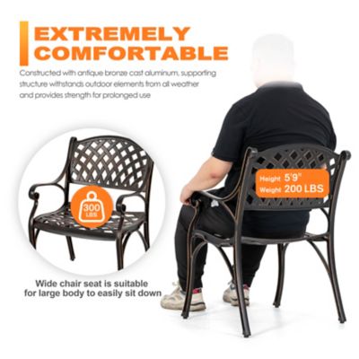 Image showing  Outdoor Patio 2-Piece Cast Aluminum Chairs with Armrests