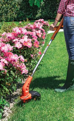 Image showing  12 in. 20V Fixed Shaft Straight Shaft Cordless String Trimmer/Edger, Battery and Charger Included