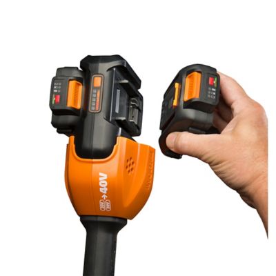 Image showing 5 th WORX 12 in. 40V Fixed Shaft Straight Shaft Cordless String Trimmer/Edger, Battery and Charger Included