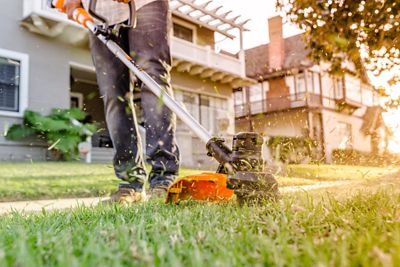 Image showing 8 th WORX 12 in. 40V Fixed Shaft Straight Shaft Cordless String Trimmer/Edger, Battery and Charger Included