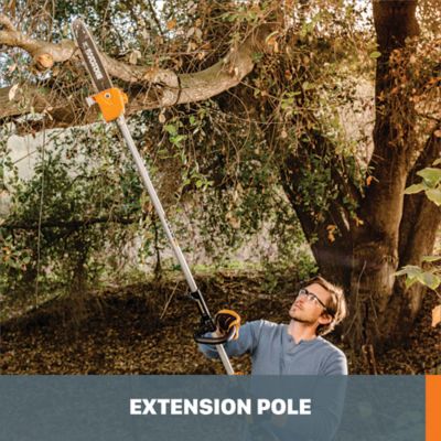 Image showing  Nitro 10 in. Driveshare Pole Saw Attachment