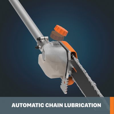 Image showing  Nitro 10 in. Driveshare Pole Saw Attachment